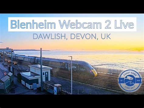 dawlish web cam|Blenheim Cam Sponsored by Shoe Centre Dawlish